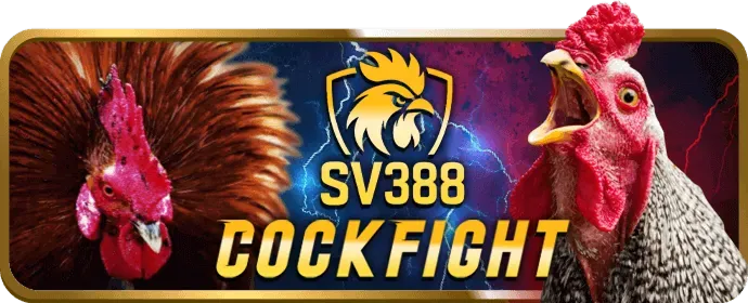 Hình ảnh hệ thống link theo dõi và báo cáo hiệu suất chi tiết của 32win32 code